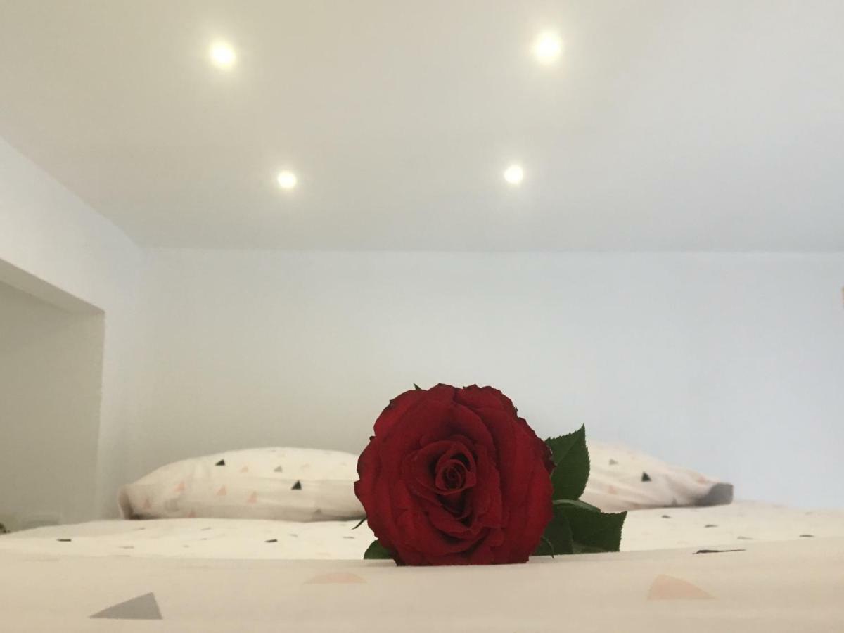 Studio Cosy Bourges Eksteriør billede